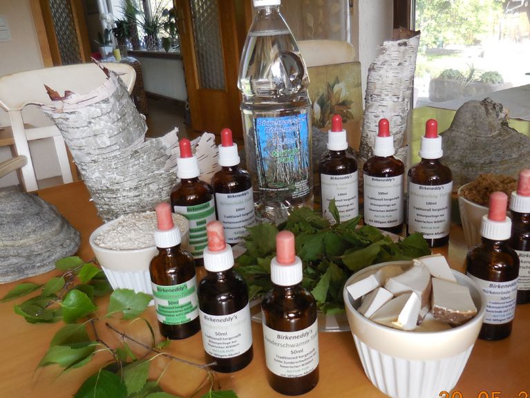 Birkenwasser Birkenporling Zunderschwamm Birkenblätter Birkenrinde Birkenknospen Tinktur